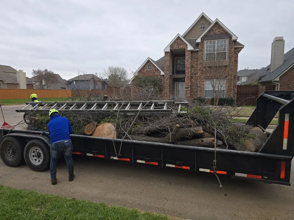 Expert Lot Clearing with proper safety equipment in Shell